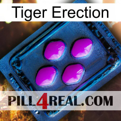 Tiger Erection